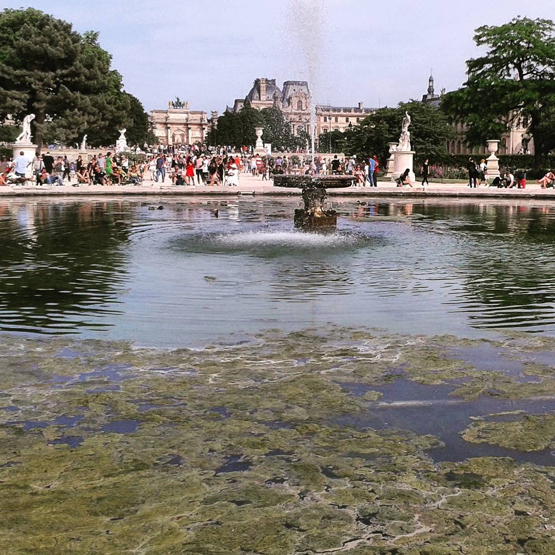 weekend w Paryżu, wycieczka do paryża  Ogrody Tuilieries