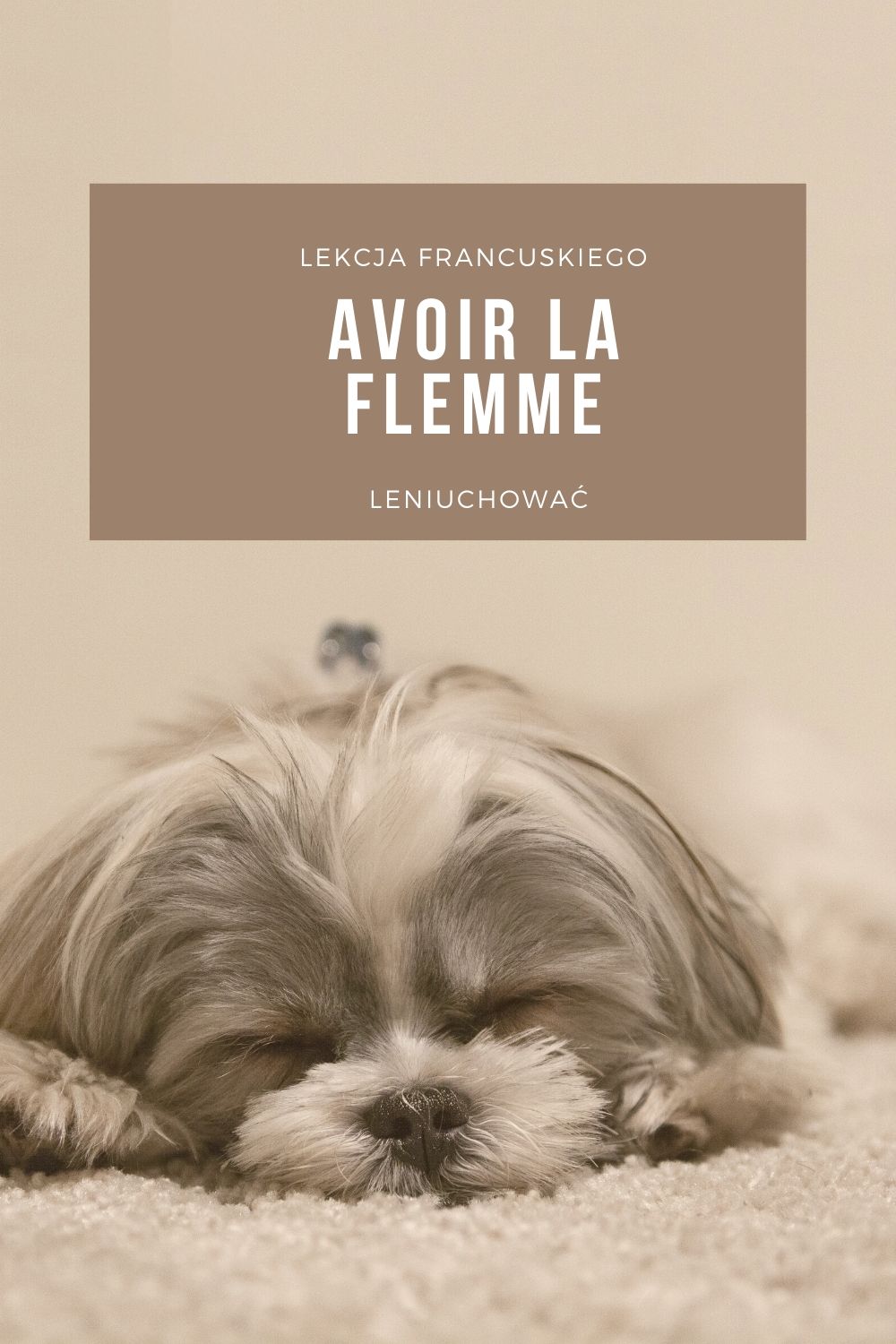 Dlaczego mówimy po francusku „avoir la flemme”,  czyli leniuchować