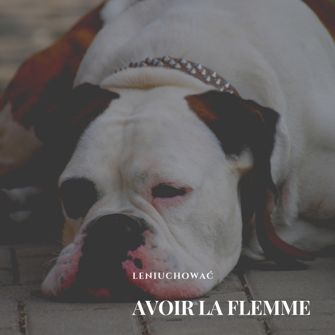 Dlaczego mówimy po francusku „avoir la flemme”,  czyli leniuchować