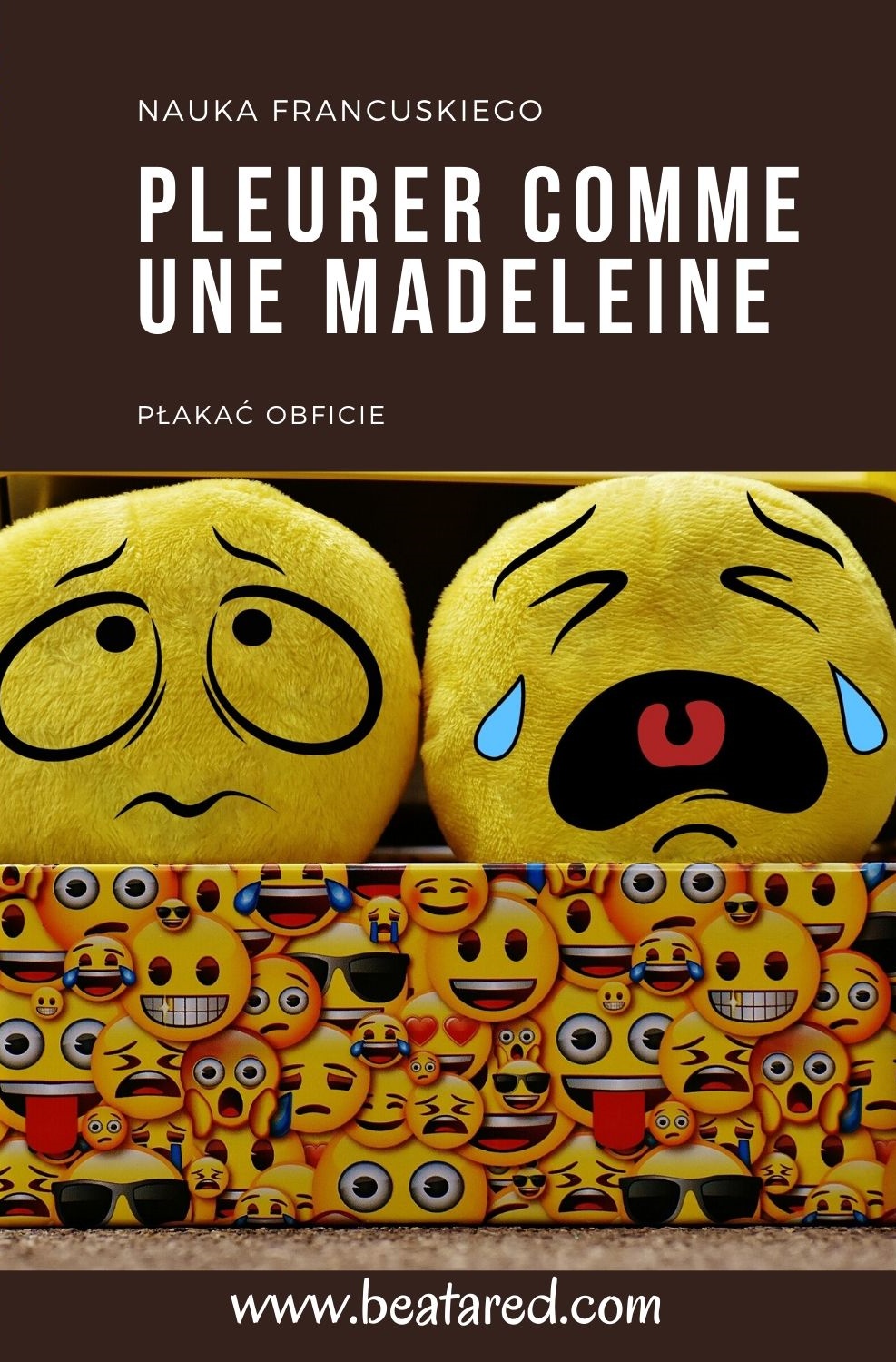 Dlaczego-Francuzi-mówią-płakać-jak-magdalenka-pleurer-comme-une-madeleine_1